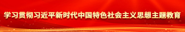 爆操肥逼学习贯彻习近平新时代中国特色社会主义思想主题教育